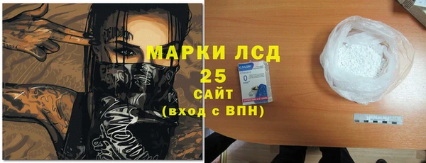гидра Алексин