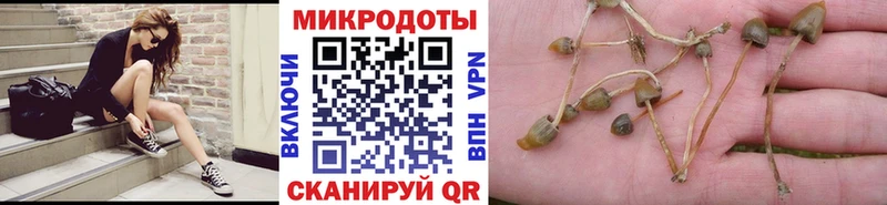 Псилоцибиновые грибы Cubensis ОМГ ОМГ зеркало Бокситогорск