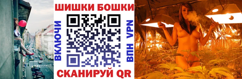 где продают наркотики Бокситогорск Канабис сатива